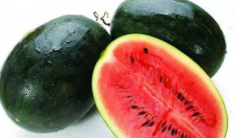 吃瓜黑料正能量爆料群,网络舆论的正能量守护者