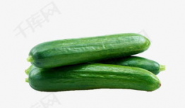 网红爆料免费吃瓜群,揭秘网红圈内的神秘社交圈